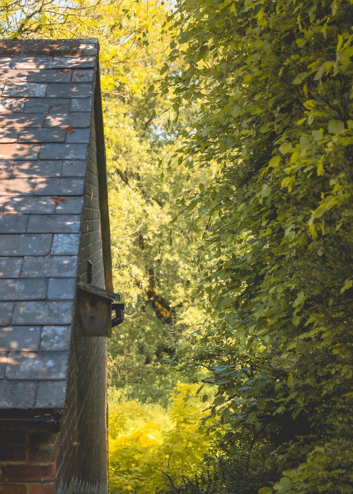 دورتشستر Waterfield House B&B المظهر الخارجي الصورة